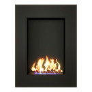 Биокамин LUMIERE (ZeFire)